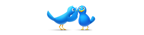 Twitter birds